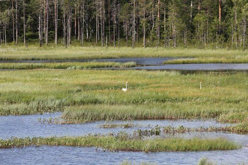 Riding and activity week in the heart of Finland