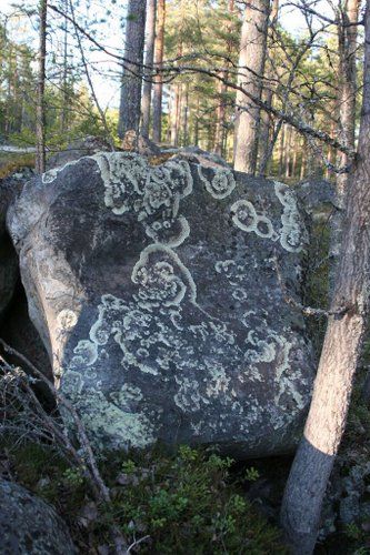 Riding and activity week in the heart of Finland