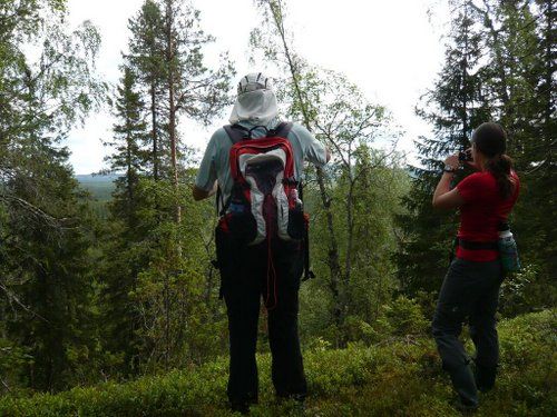 Riding and activity week in the heart of Finland