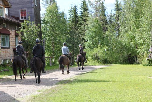 Riding and activity week in the heart of Finland