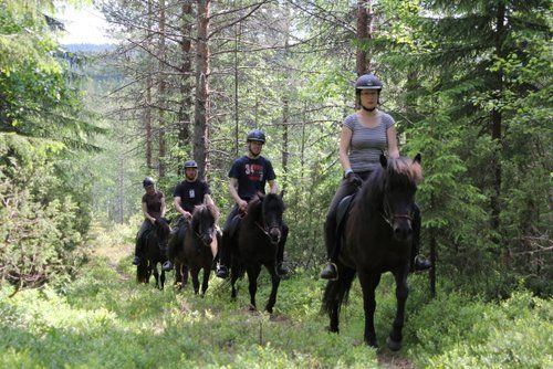 Riding and activity week in the heart of Finland