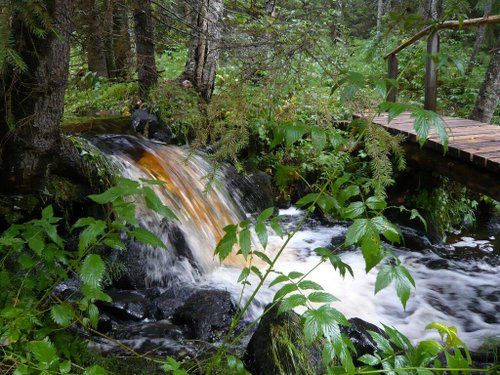 Riding and activity week in the heart of Finland