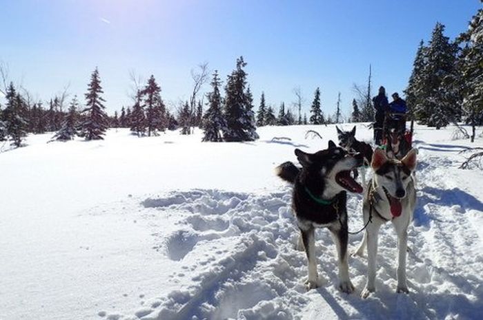 Winter adventures in the heart of Finland