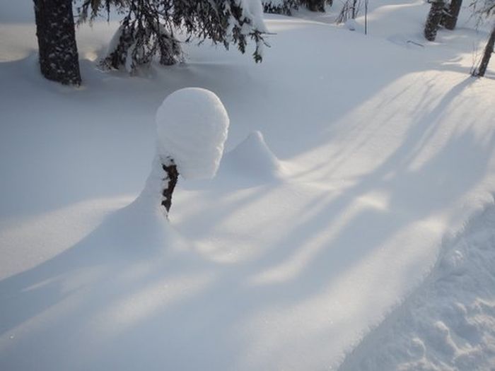 Winter adventures in the heart of Finland