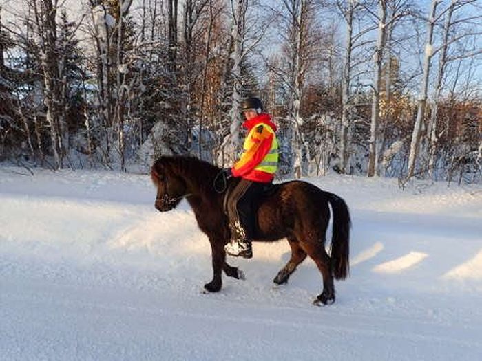 Winter adventures in the heart of Finland