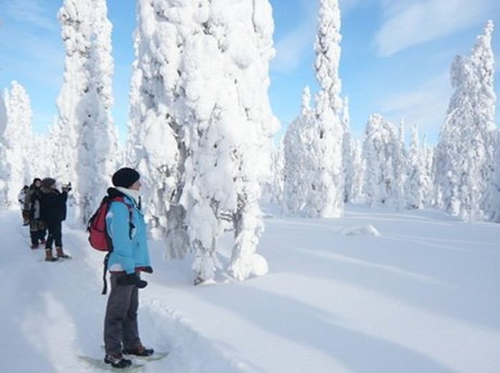 Winter adventures in the heart of Finland