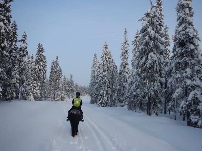 Winter adventures in the heart of Finland