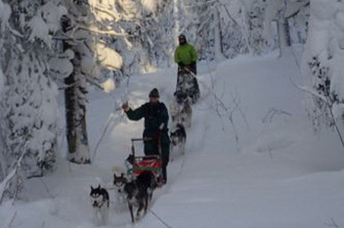 Winter adventures in the heart of Finland