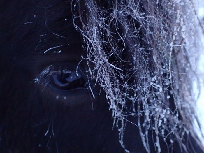 Winter adventures in the heart of Finland