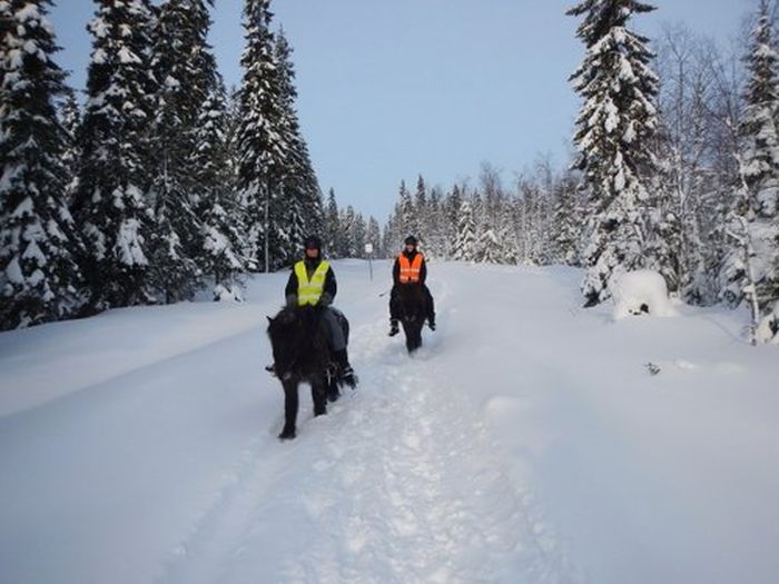 Winter adventures in the heart of Finland