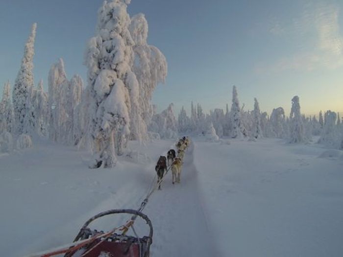 Winter adventures in the heart of Finland