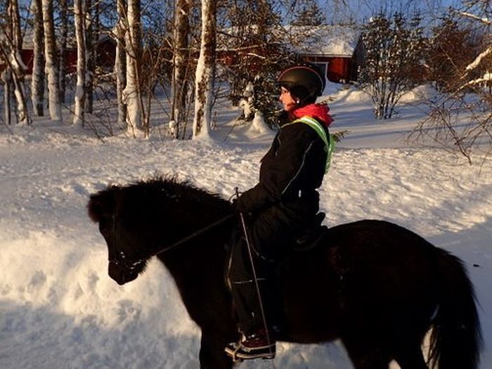 Winter adventures in the heart of Finland