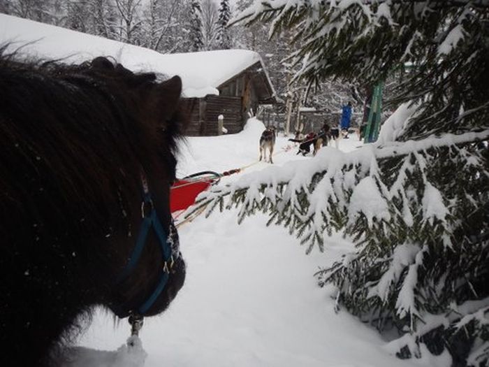 Winter adventures in the heart of Finland