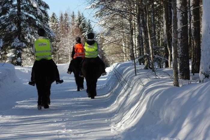 Winter adventures in the heart of Finland