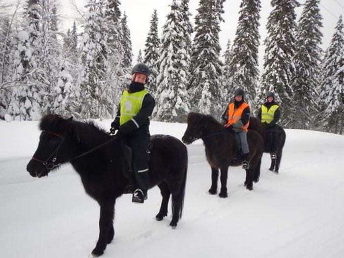 Winter adventures in the heart of Finland