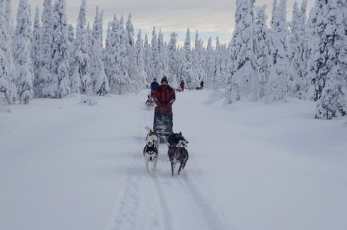 Winter adventures in the heart of Finland