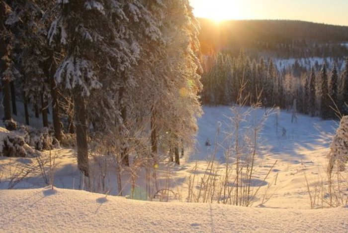 Winter adventures in the heart of Finland