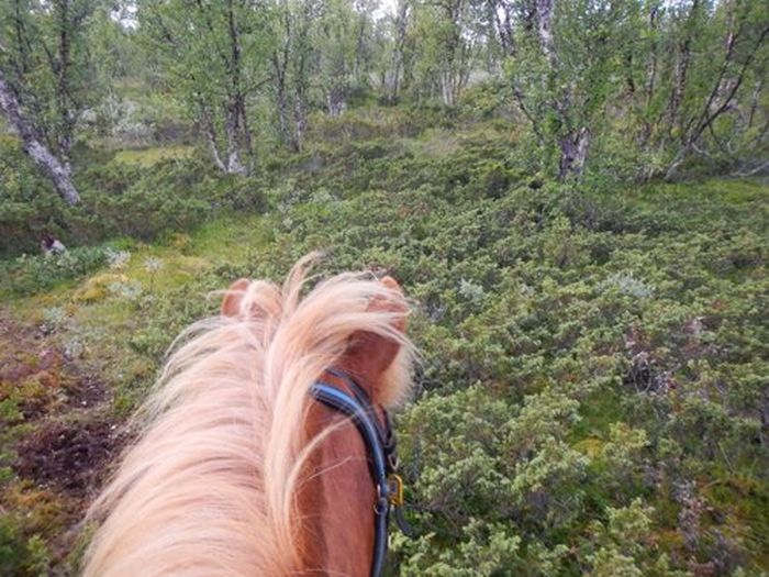 Ratekjokk Trail