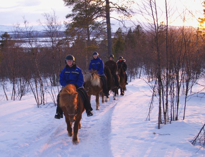 Magic of the Northern Lights