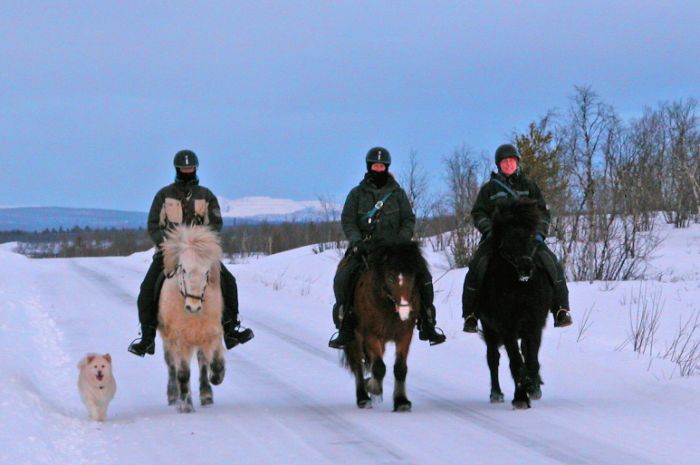 Magic of the Northern Lights