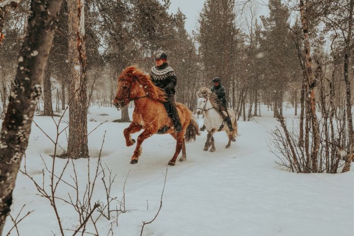 Magic of the Northern Lights