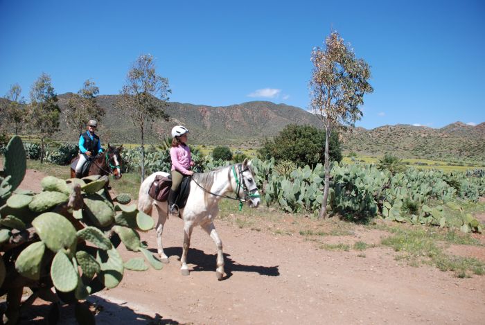 Cabo de Gata Star Rides