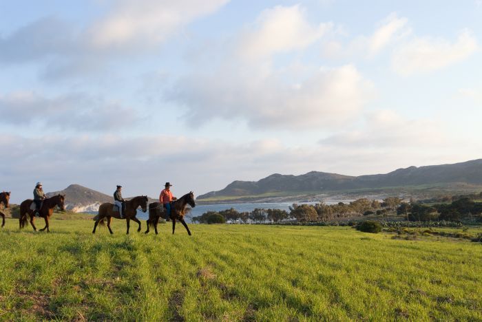 Cabo de Gata Star Rides
