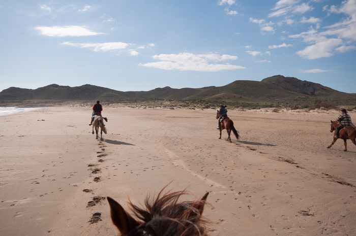 Cabo de Gata Star Rides