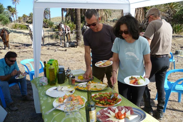 Cabo de Gata Star Rides