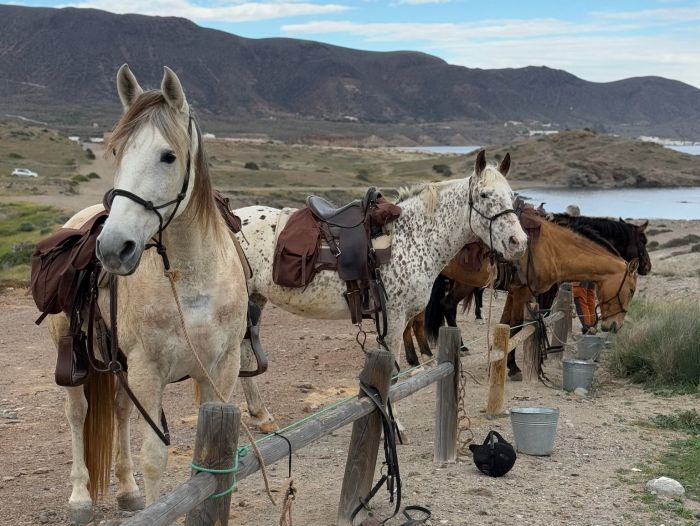 Cabo de Gata Star Rides