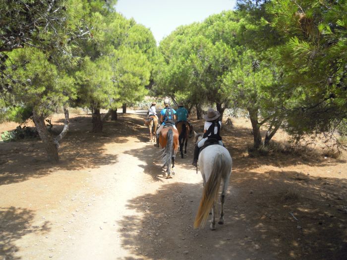 Cabo de Gata Star Rides