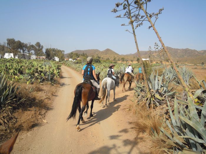 Cabo de Gata Star Rides