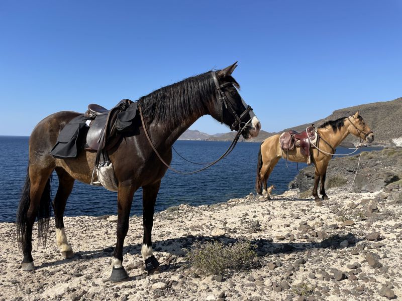 Cabo de Gata Star Rides