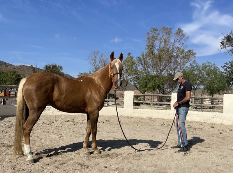 Cabo de Gata Star Rides
