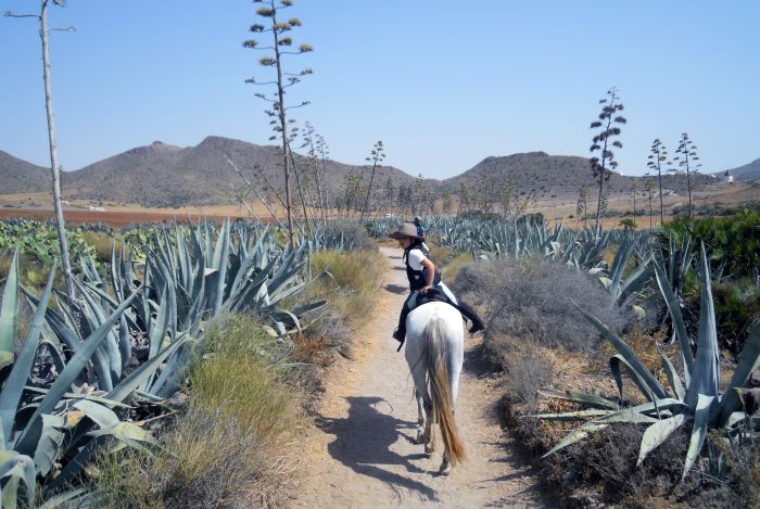 Cabo de Gata Star Rides
