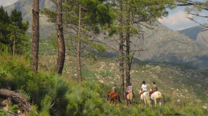 Gredos Trail riding