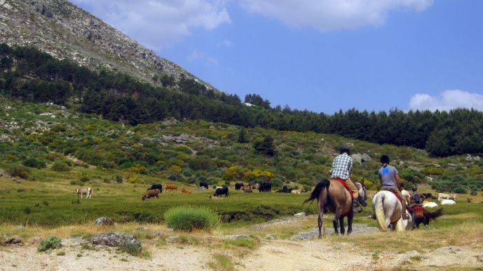 Gredos Trail riding