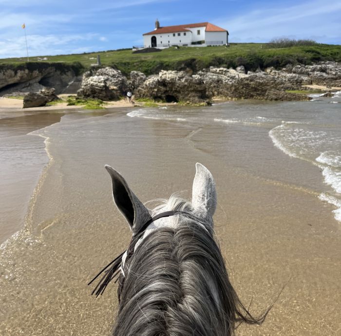 Wild Northern Spain