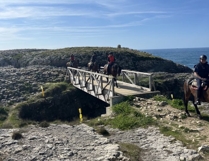 Wild Northern Spain