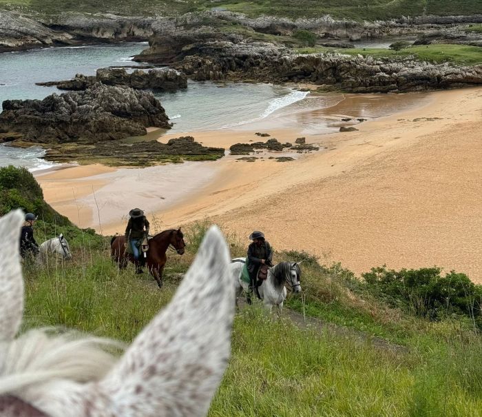 Wild Northern Spain