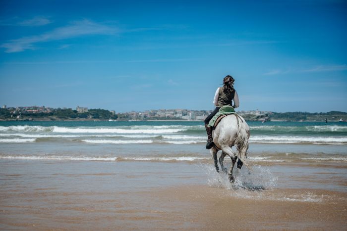 Wild Northern Spain