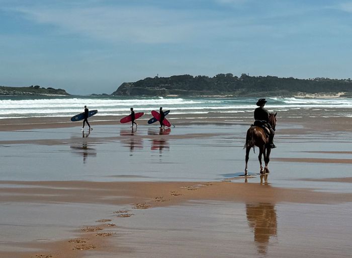 Wild Northern Spain