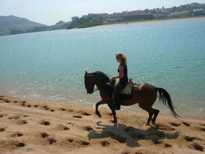 Wild Northern Spain
