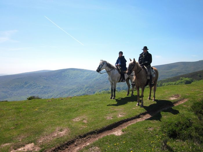 Wild Northern Spain