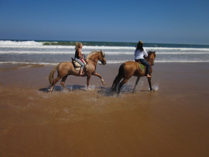 Wild Northern Spain