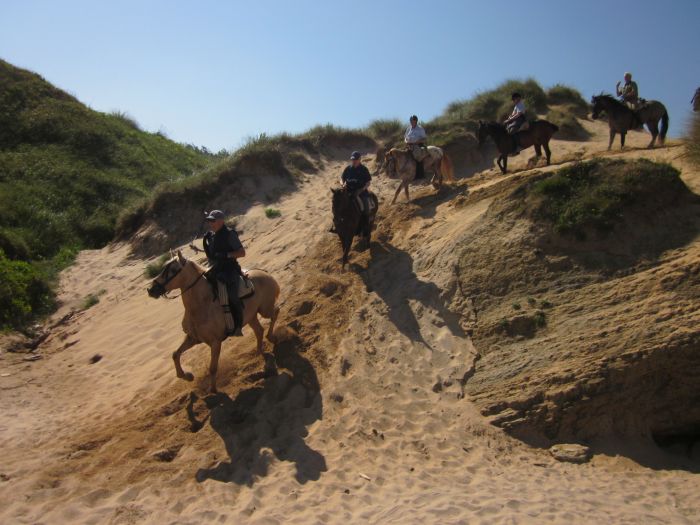 Wild Northern Spain