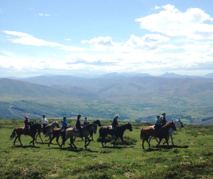 Wild Northern Spain