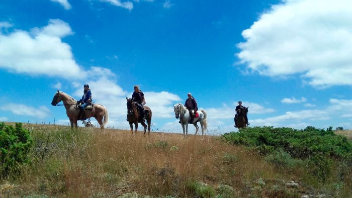 Wild Northern Spain