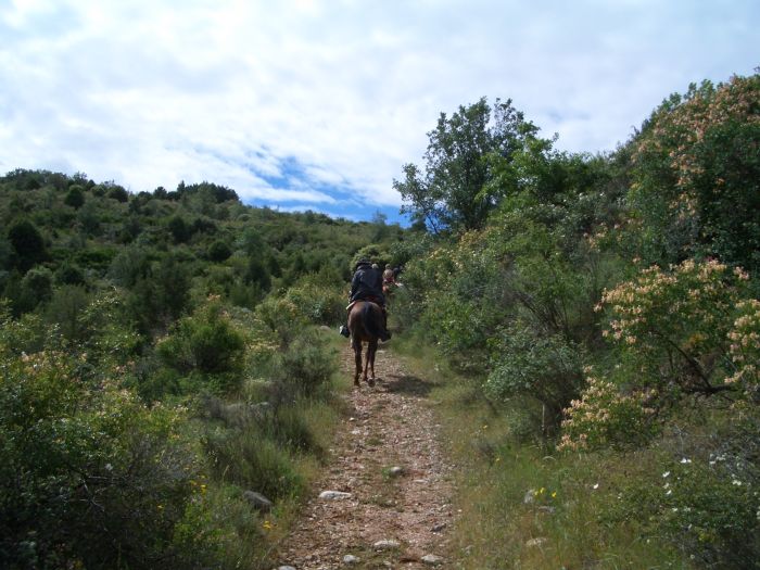 Wild Northern Spain