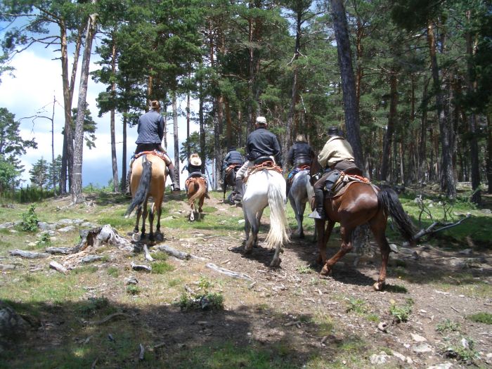 Wild Northern Spain